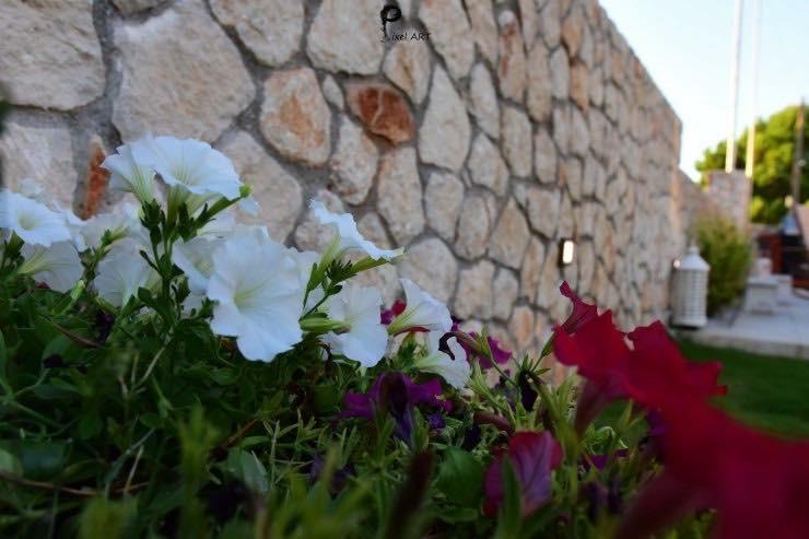 Sofelia Home Stavros  Bagian luar foto